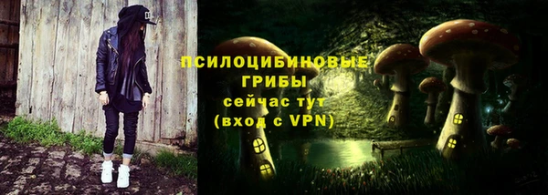 дживик Заводоуковск