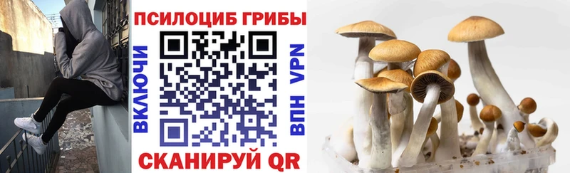 Галлюциногенные грибы Magic Shrooms  Волгореченск 